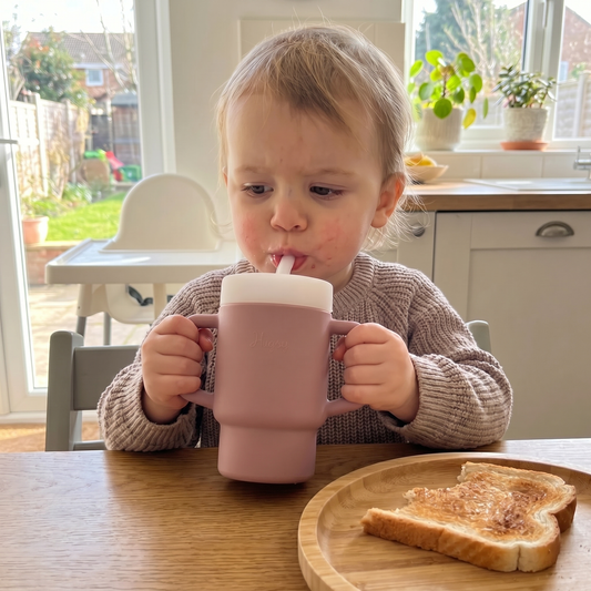Kids Insulated Straw Cup 280ml
