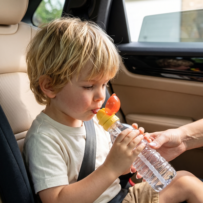 Silicone Straw Bottle Topper (2-pack)